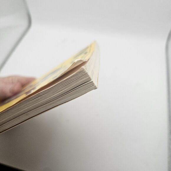 WING CHUN BIL JEE THE DEADLY ART OF THRUSTING FINGERS William Cheung - Picture 15 of 15